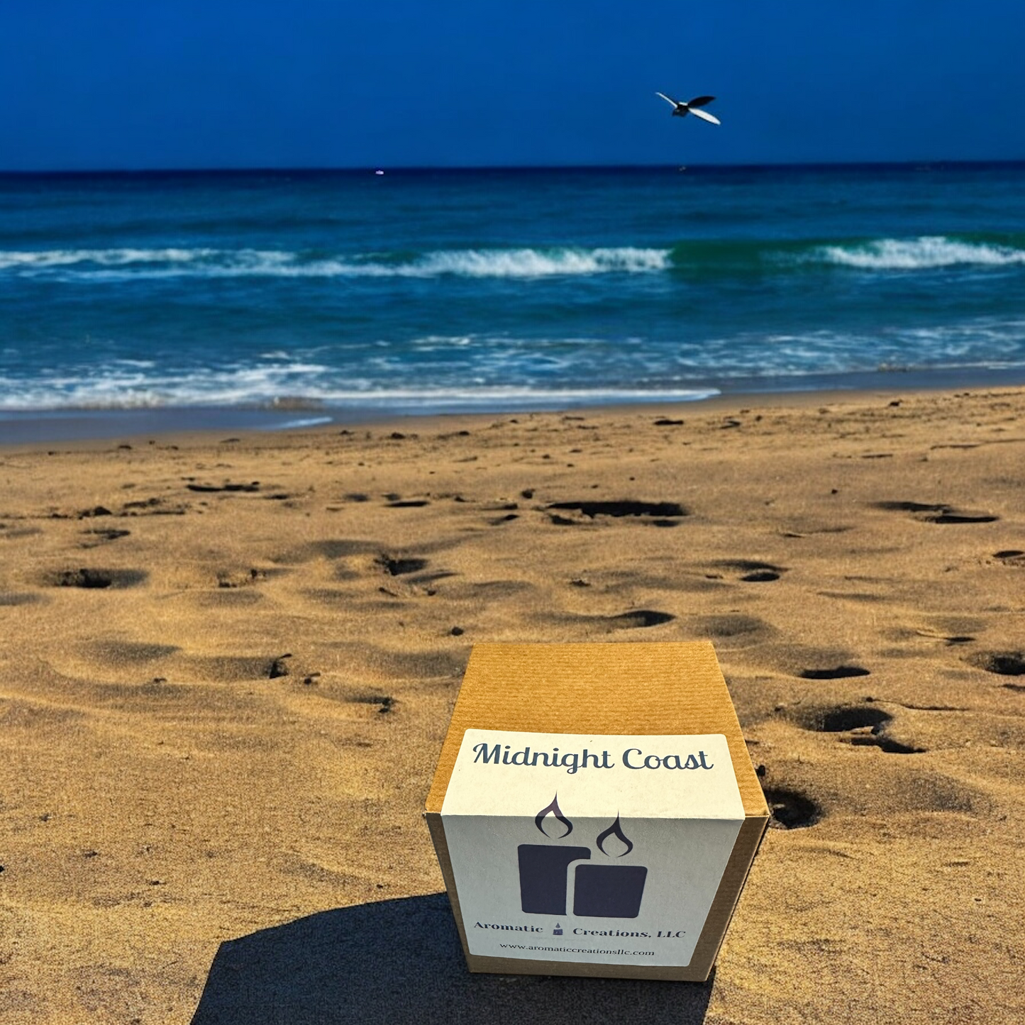 Midnight Coast image 3