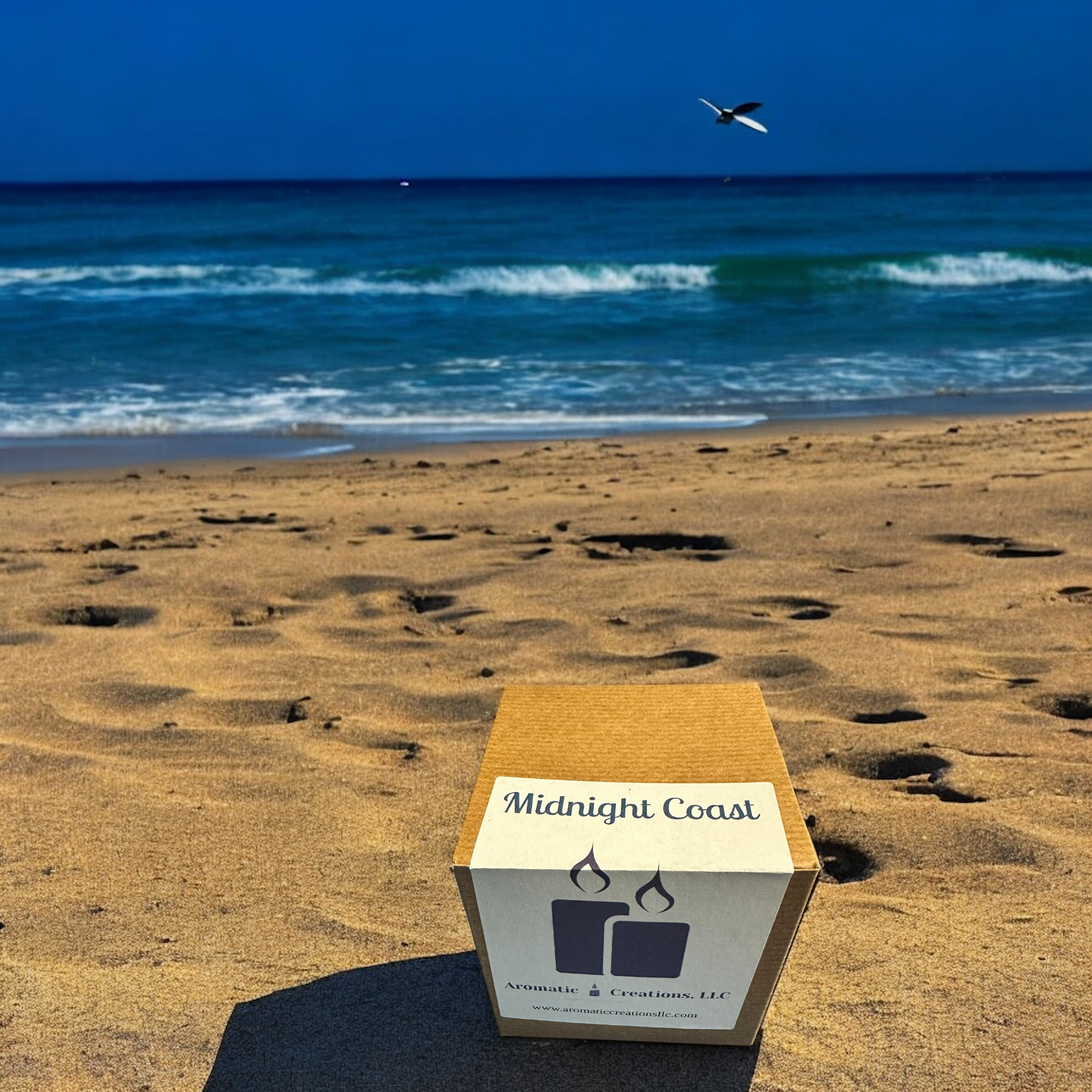 Midnight Coast image 3